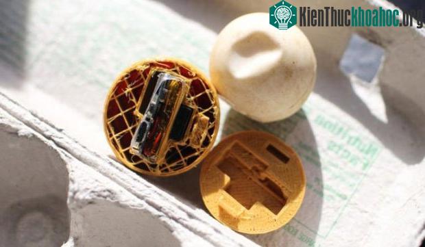 Những quả trứng được làm giả bằng công nghệ in 3D, bên trong gắn máy thu phát GPS