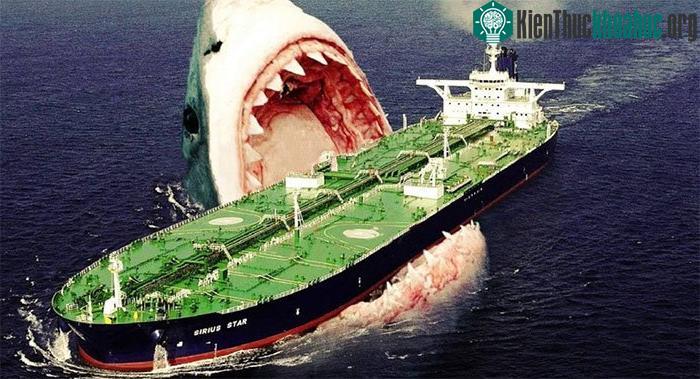 "Rợn người" cách để siêu cá mập Megalodon có thể dài tới hơn 18 mét ảnh 1