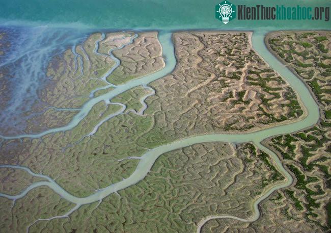 Các dòng sông chảy vào vùng đầm lầy Guadalquivir, Tây Ban Nha.