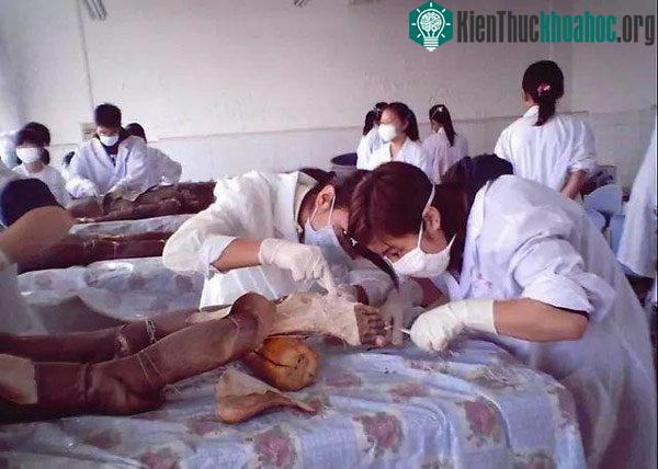Loạt bí ẩn về xác ướp 700 năm tuổi đã được khoa học giải mã