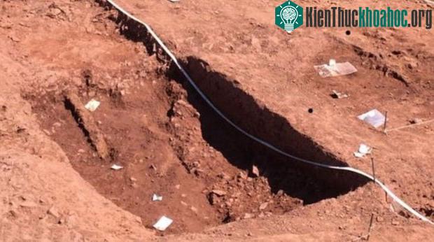 Mike đã phát hiện ra mảnh kim loại hình hoa khi anh đang dò tìm kim loại trên một cánh đồng