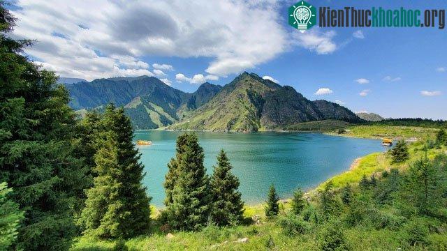 Do nồng độ oxy trong nước thấp nên rất ít loài cá có thể sống tại đây.