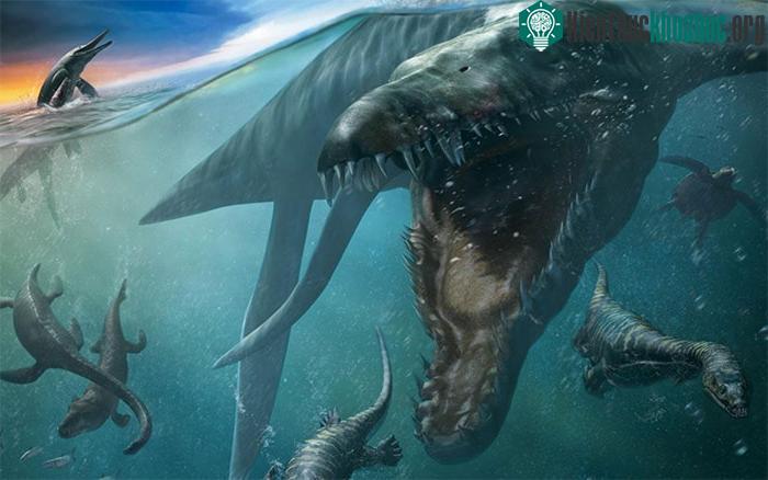 Bộ hàm đáng sợ của Liopleurodon.