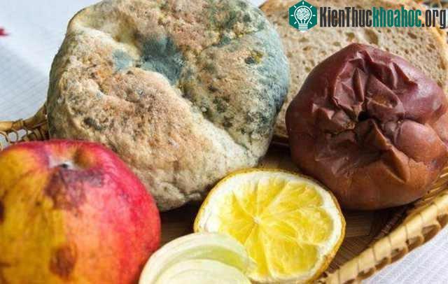 Những độc tố nấm mốc trong thực phẩm gây ung thư ảnh 2