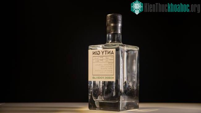 Anty gin