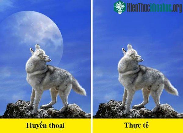 Những thông tin sai lầm nhiều người tưởng là khoa học ảnh 2
