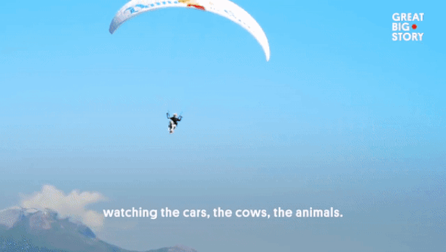 Bay dù lượn cùng chó cưng.