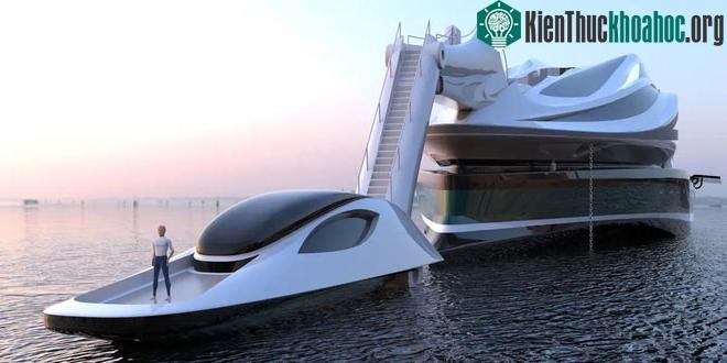Phần cổ này còn có thể chúi xuống nước