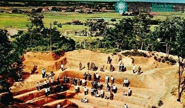 Các chuyên gia có mặt tại hiện trường đều tỏ ra bối rối do chưa biết cách xử lý.