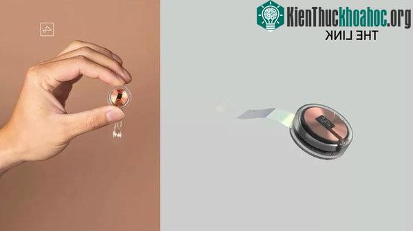 Cuộn dây dẫn dùng để nối các điện cực siêu nhỏ.