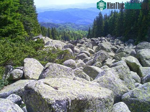 Một dòng sông đá khác ở núi Vitosha, Bulgaria.