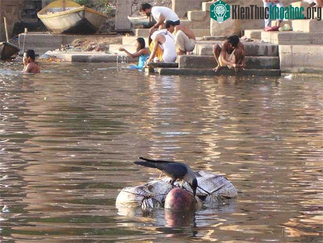 Sông Hằng, Ấn Độ