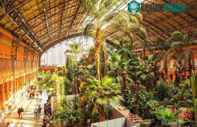 Nhà ga Atocha, Madrid, Tây Ban Nha