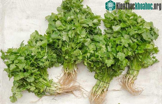 Thảo mộc không nên sử dụng để trang trí khi rã đông bởi chúng thường bị sũng nước.