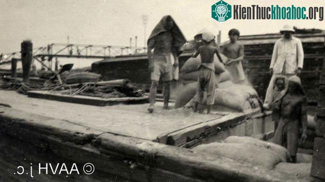 Cu-li làm công việc bốc vác lúa gạo tại Chợ Lớn năm 1925.