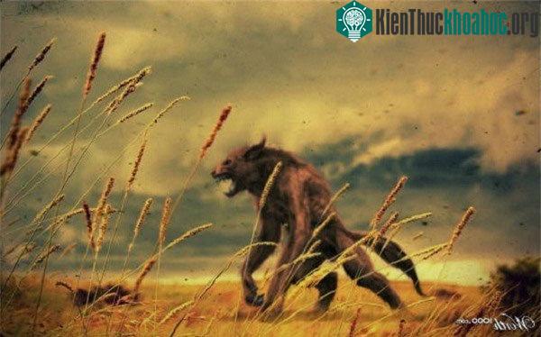 Quái vật Garou Loup