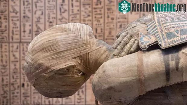 Người thực sự bị ướp là một phụ nữ qua đời vì bị sát hại trong thập niên 1990.