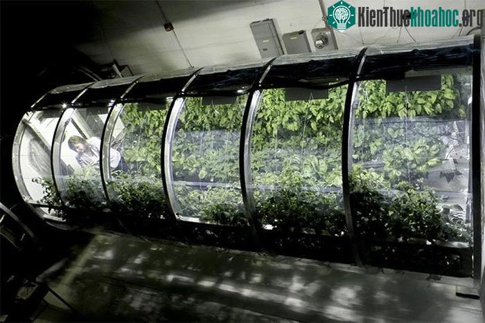 Nhà kính bơm hơi cho việc trồng trọt ngoài không gian.