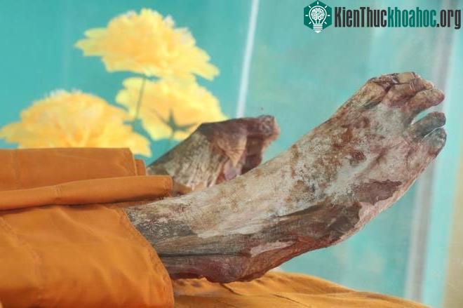 Thi hài của hòa thượng Chau Tinh còn nguyên vẹn, chỉ khô lại chứ không phân hủy.