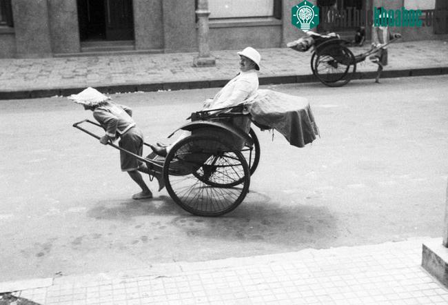 Những người kéo xe tay ở Việt Nam xưa cũng được gọi là cu-li.
