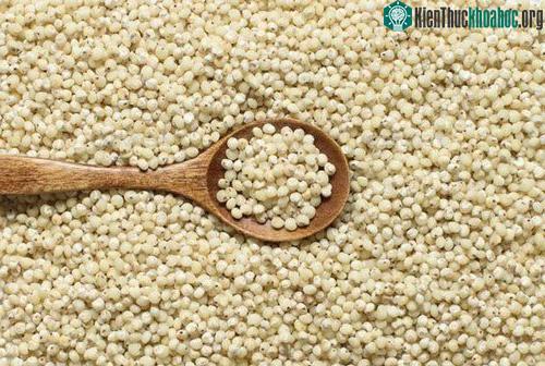 Để ăn hạt bo bo chưa qua xử lý, người dân phải ngâm nước và nấu thật lâu