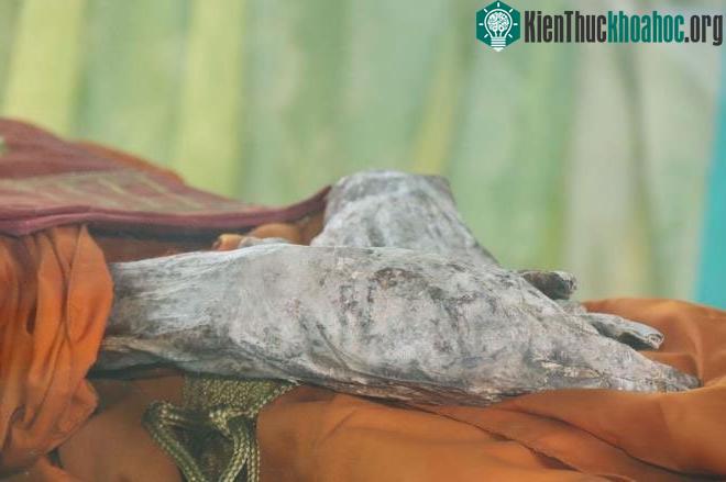 Hai tay của Hòa thượng chắp vào nhau.