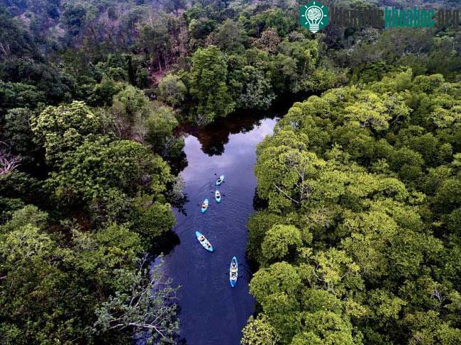 Nhóm du khách chèo thuyền kayak dọc con sông nhỏ trên đảo Kho Rong, Campuchia.