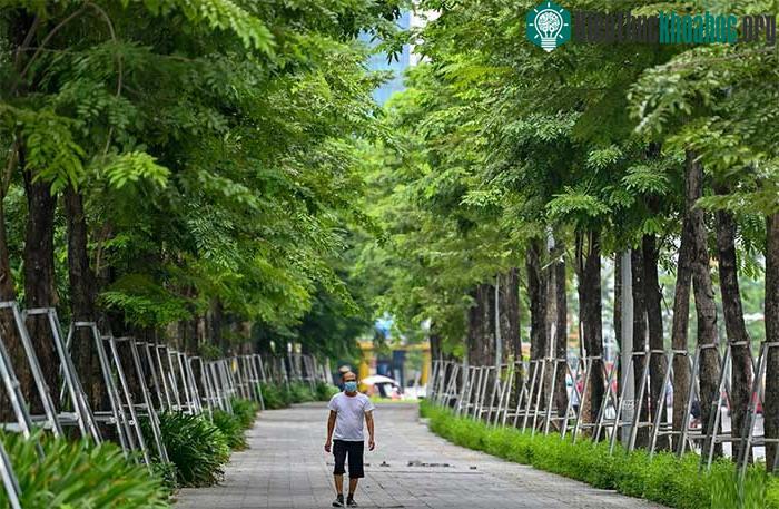 Vỉa hè của tuyến đường rộng từ 3 đến hơn 7 m được lát đá xanh.
