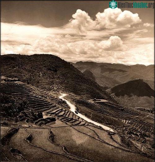 Ruộng bậc thang ở Vân Nam