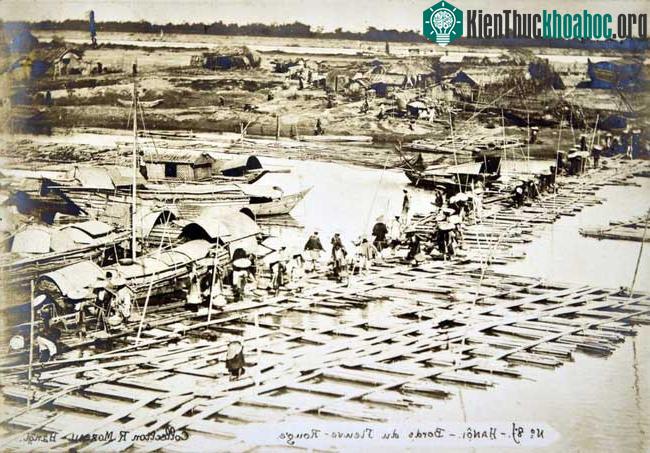 Khu vực bờ sông Hồng ở Hà Nội với giàn cầu phao làm bằng tre nứa