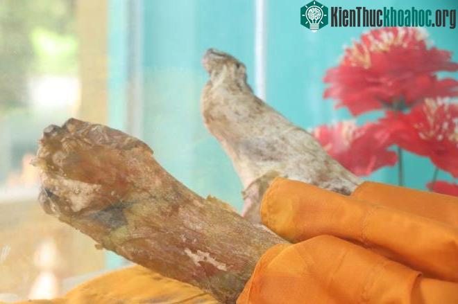 Cho đến nay vẫn không có một giải thích thuyết phục hiện tượng bất hoại của thi hài