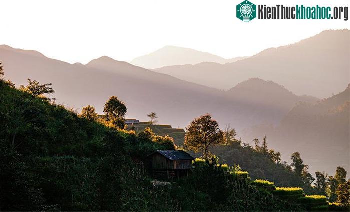 Ruộng lúa vàng, ánh hoàng hôn, rừng núi, nếp nhà, mùa thu