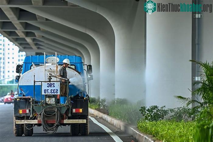 Dải phân cách giữa rộng 3,5-10 m tùy vị trí và được trồng nhiều cây bụi thấp.