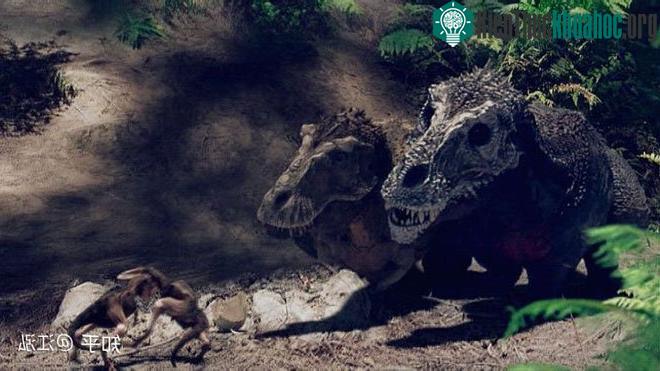 Trình tự tăng trưởng không thể được sử dụng để xác định giới tính của T-Rex.