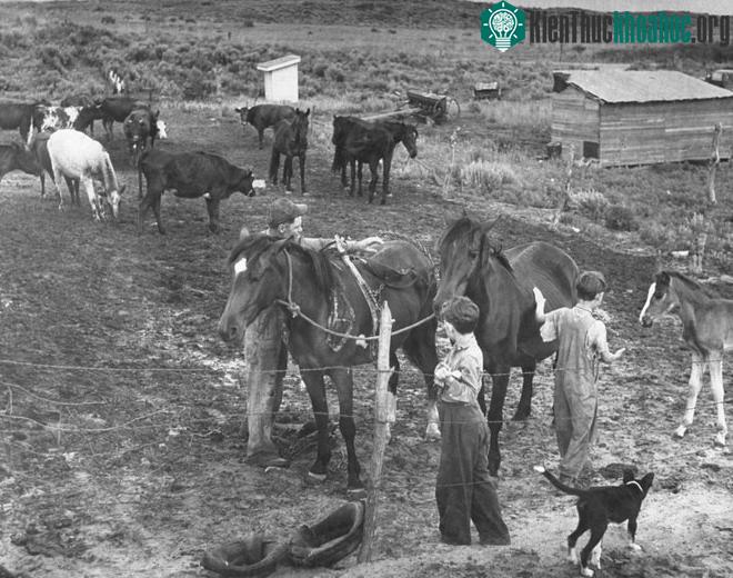 Từ năm 1935 đến năm 1940, khoảng 250.000 người nhập cư đã chuyển đến California.