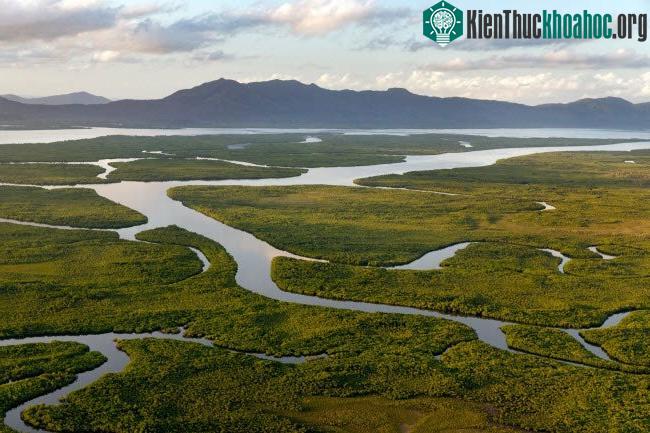 Sông và các con lạch chảy qua hòn đảo Hinchinbrook ở Australia.