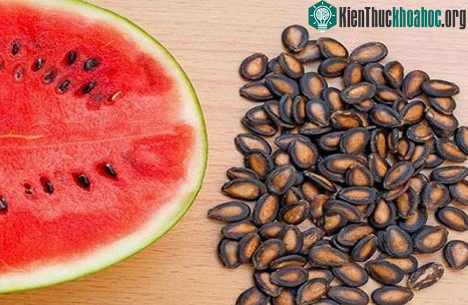 15 lợi ích của hạt dưa hấu có thể bạn chưa biết ảnh 0
