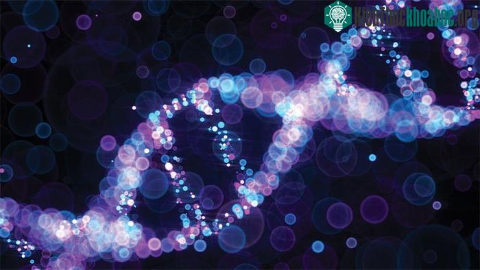 Đột biến gene UBA1 được cho là nguồn cơn gây bệnh VEXAS.