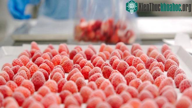 Dâu tây đông lạnh nhanh sẽ có nhiều tinh thể băng trắng mỏng trên bề mặt.