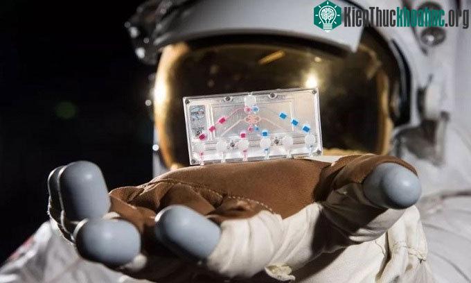 Những thí nghiệm độc đáo trên trạm ISS ảnh 0