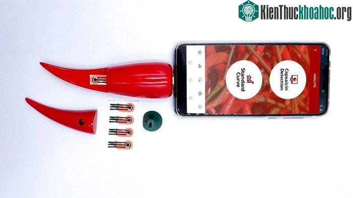 Chilica-pod kết nối trực tiếp với điện thoại thông minh.
