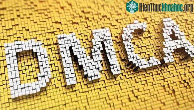 Dù là một bộ luật của Hoa Kỳ, DMCA có hiệu lực rộng hơn thế.
