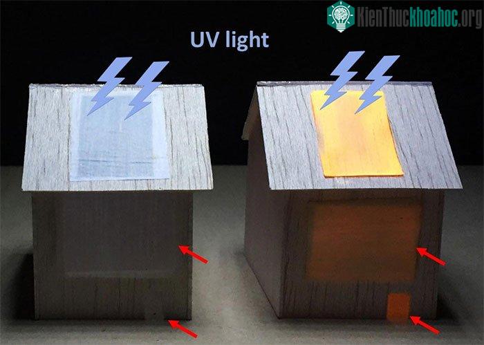 Màng gỗ sinh học có thể phát quang, kháng nướ
