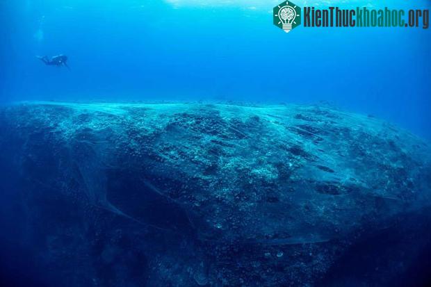 Trong ảnh là một tấm lưới như thế, bao trùm lên hòn đảo chìm Kimud Shoal ngoài khơi Philippines.