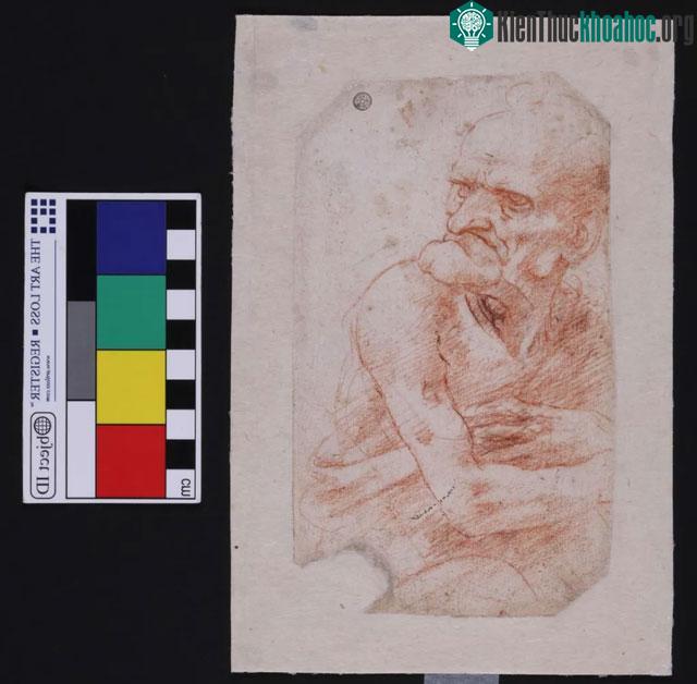 Đây là bức "Uomo della Bitta" của Leonardo Da Vinci