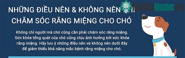 Những điều nên và không nên làm khi chăm sóc răng miệng cho chó