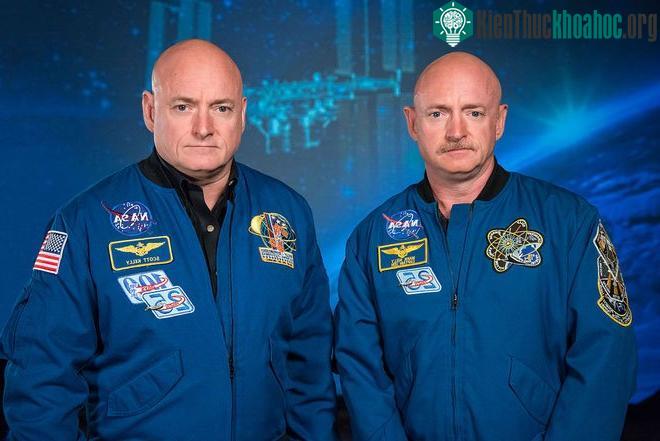 Hai phi hành gia Mark và Scott Kelly.