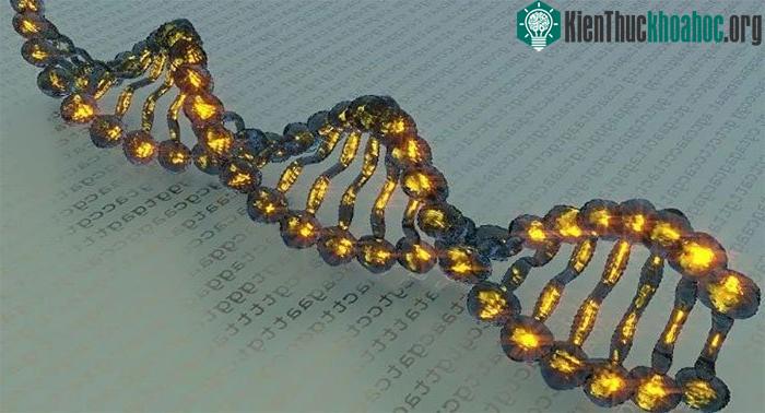 Mã độc có thể đánh lừa các nhà khoa học tạo ra virus, độc tố.