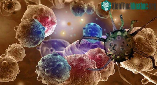 Xét nghiệm có thể chỉ ra chính xác tín hiệu đó đến từ bộ phận nào trong cơ thể.