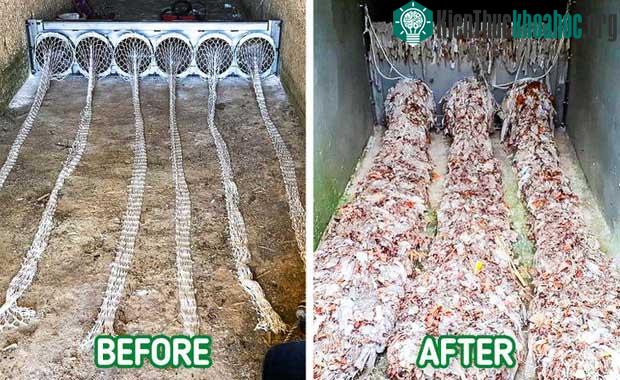 Phát minh đặc biệt giúp thế giới thoát khỏi thảm họa rác thải ảnh 0